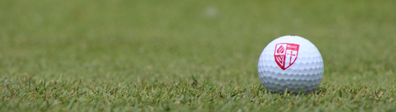 Golf ball with Roberts logo on grass